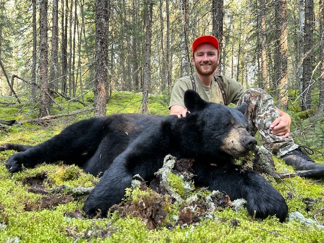 Bear Hunting