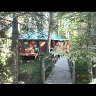 Cabin, Woods, Bridge