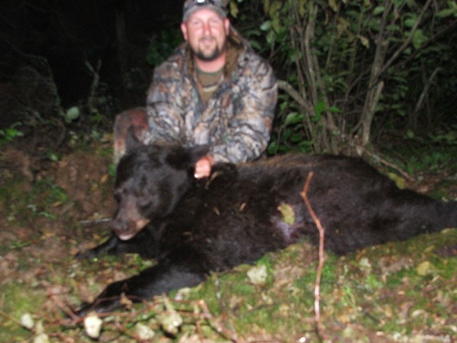Bear Hunting, Black Bear
