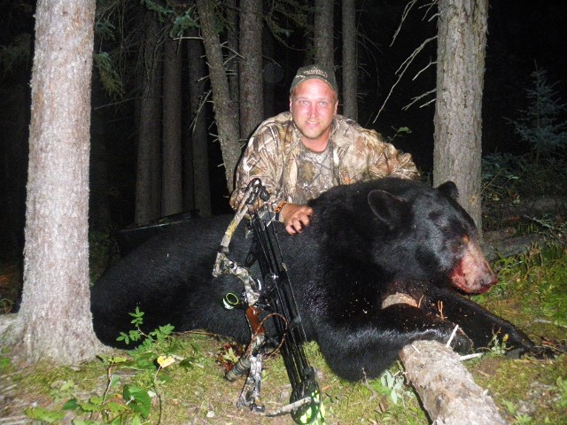 Hunter, Camouflage, Bear