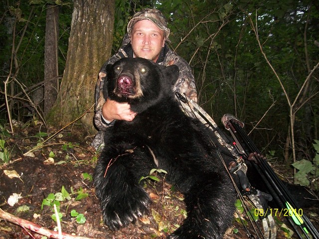 August Bear Hunt