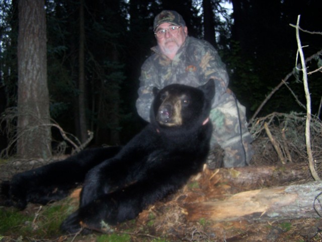 Bear Hunts 2009