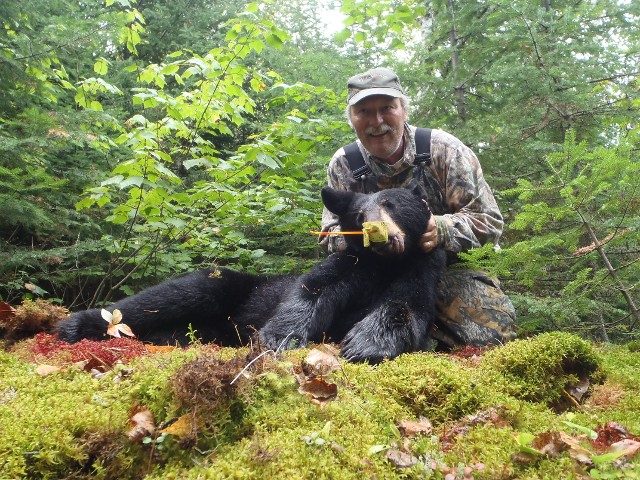 Bear Hunting, Stands, Killed Bear