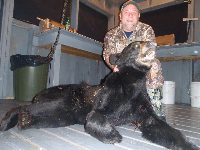Bear and Fish Expedition, Black Bear