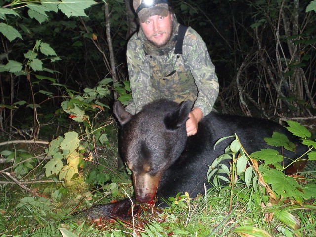 Bear and Fish Expedition, 2013