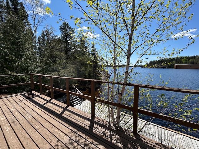 Cabin 1