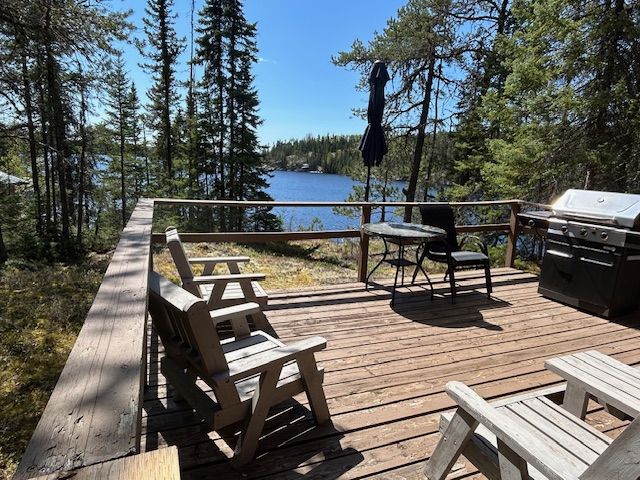 Cabin 2