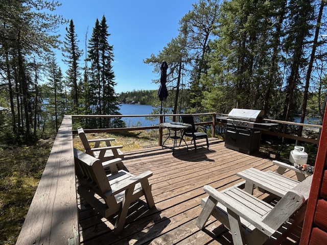 Cabin 2