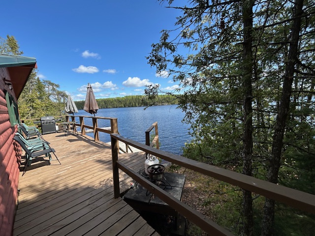 Cabin 4