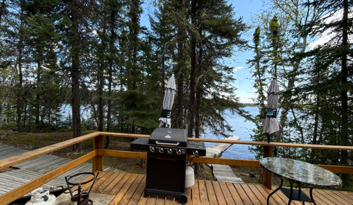 Cabin 5