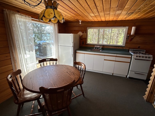 Cabin 6