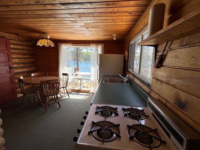 Cabin 6
