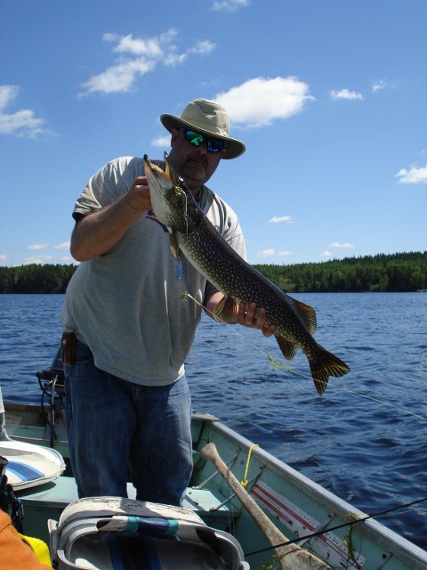 Trophy Fish